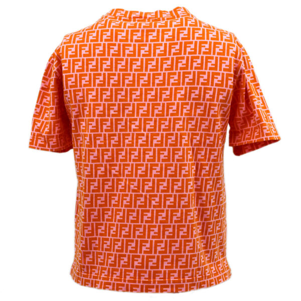 Fendi T-shirt Orange #44