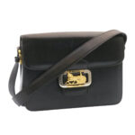 CELINE Horse Carriage Shoulder Bag Leather Black  26712