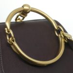 Chloe Small Rubberized Shoulder Bag Nile Leather 2way Brown 37268A