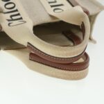 Chloe Woody Hand Bag Canvas 2way Gray Brown 37269A