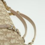 CHRISTIAN DIOR trotter romantic Flower Shoulder Bag Beige 03-BO-1025  37747