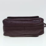 Chloe Paraty Hand Bag Leather Purple 02-12-50-65 44039