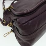 Chloe Paraty Hand Bag Leather Purple 02-12-50-65 44039