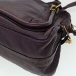 Chloe Paraty Hand Bag Leather Purple 02-12-50-65 44039