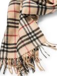 Burberry Cashmere House Check Fringe Scarf Brown