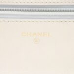Chanel Iridescent Lambskin 19 Wallet on Chain (SHF-Q3iEEa)