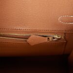 Hermes Special Order (HSS) Birkin 25 Craie and Gold Togo Brushed Gold Hardware