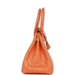 Top Quality Hermes Birkin 30 Abricot Ostrich Gold Hardware