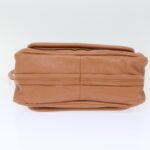 Chloe Paraty Hand Bag Leather 2way Brown 02-11-50 am4850