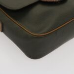 CELINE Shoulder Bag Leather Gray Brown  ar6880