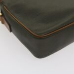 CELINE Shoulder Bag Leather Gray Brown  ar6880