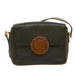 CELINE Shoulder Bag Leather Gray Brown  ar6880