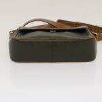 CELINE Shoulder Bag Leather Gray Brown  ar6880