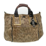 Chloe Hand Bag Leather Brown 03-11-50 bs4553
