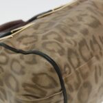 Chloe Hand Bag Leather Brown 03-11-50 bs4553