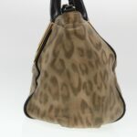 Chloe Hand Bag Leather Brown 03-11-50 bs4553