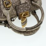 Chloe Shoulder Bag Leather Silver 04-07-53-2 bs5080