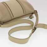 Chloe Shoulder Bag Canvas Beige bs5650