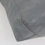 CELINE Tote Bag Leather Gray  am2387g