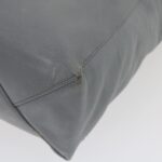 CELINE Tote Bag Leather Gray  am2387g