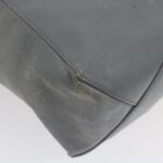 CELINE Tote Bag Leather Gray  am2387g