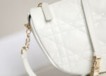 Christian Dior Small Vibe Hobo Bag
