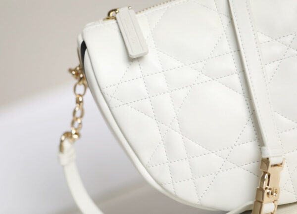 Christian Dior Small Vibe Hobo Bag