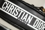 Christian Dior Small Vibe Hobo Bag