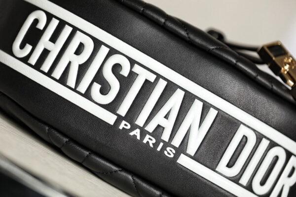 Christian Dior Small Vibe Hobo Bag