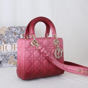 Christian Dior Small Lady Bag