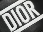 Christian Dior Small Vibe Hobo Bag
