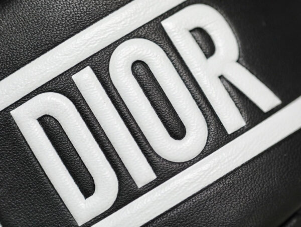 Christian Dior Small Vibe Hobo Bag
