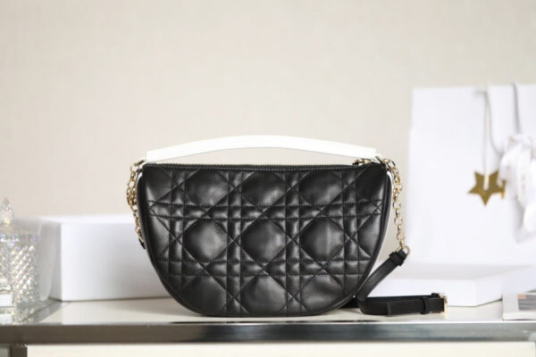 Christian Dior Small Vibe Hobo Bag
