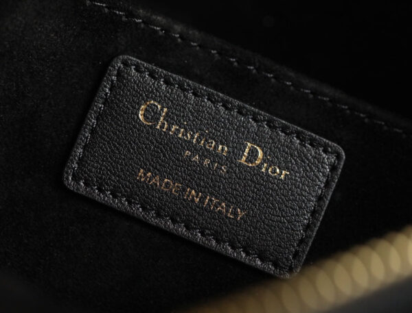 Christian Dior Small Vibe Hobo Bag