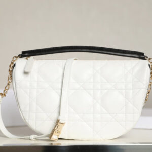 Christian Dior Small Vibe Hobo Bag