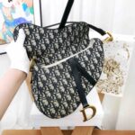 Dior medium saddle bag brown Oblique